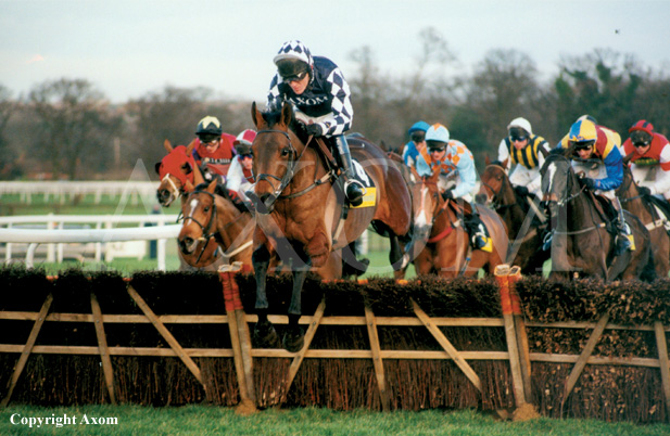 Deano's Beeno winning at Ascot